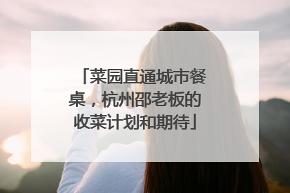 菜园直通城市餐桌，杭州邵老板的收菜计划和期待