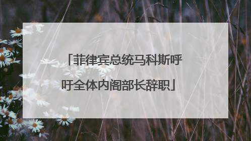 菲律宾总统马科斯呼吁全体内阁部长辞职