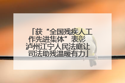 获“全国残疾人工作先进集体”表彰 泸州江宁人民法庭让司法助残温暖有力