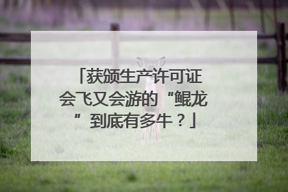 获颁生产许可证 会飞又会游的“鲲龙”到底有多牛？
