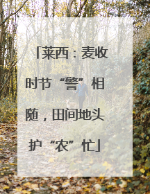 莱西：麦收时节“警”相随，田间地头护“农”忙