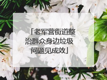 老军营街道整治群众身边垃圾问题见成效