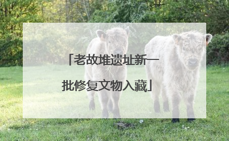 老故堆遗址新一批修复文物入藏
