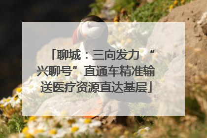 聊城：三向发力 “兴聊号”直通车精准输送医疗资源直达基层