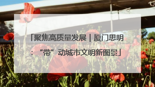 聚焦高质量发展｜厦门思明：“带”动城市文明新图景