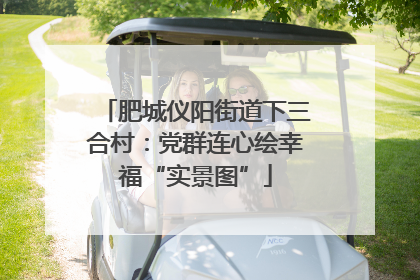肥城仪阳街道下三合村：党群连心绘幸福“实景图”
