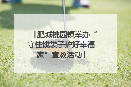 肥城桃园镇举办“守住钱袋子护好幸福家”宣教活动
