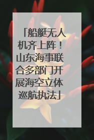 船艇无人机齐上阵！山东海事联合多部门开展海空立体巡航执法