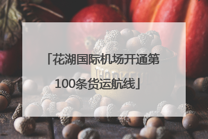 花湖国际机场开通第100条货运航线