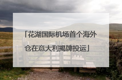 花湖国际机场首个海外仓在意大利揭牌投运