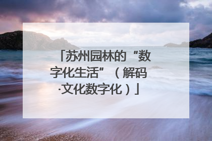 苏州园林的“数字化生活”（解码·文化数字化）