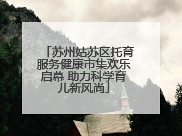 苏州姑苏区托育服务健康市集欢乐启幕 助力科学育儿新风尚