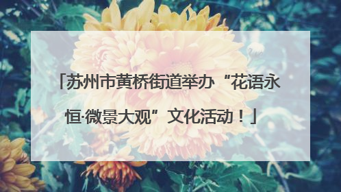 苏州市黄桥街道举办“花语永恒·微景大观”文化活动！