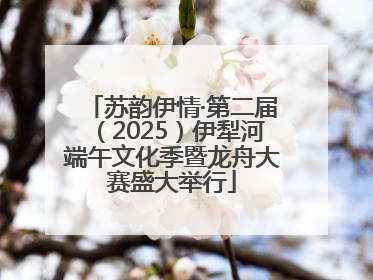 苏韵伊情·第二届(2025)伊犁河端午文化季暨龙舟大赛盛大举行