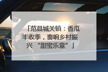 范县城关镇：香瓜丰收季，奏响乡村振兴 “甜蜜乐章”