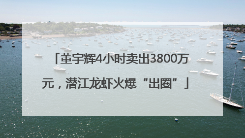 董宇辉4小时卖出3800万元，潜江龙虾火爆“出圈”