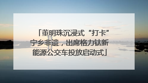 董明珠沉浸式“打卡”宁乡非遗，出席格力钛新能源公交车投放启动式