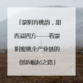 蒙阴育桃韵，甜香溢四方——看蒙阴蜜桃全产业链的创新崛起之路