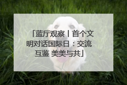 蓝厅观察丨首个文明对话国际日：交流互鉴 美美与共