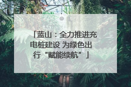 蓝山：全力推进充电桩建设 为绿色出行“赋能续航”
