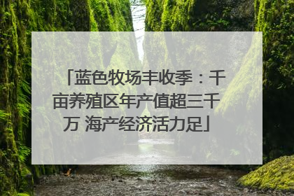 蓝色牧场丰收季：千亩养殖区年产值超三千万 海产经济活力足