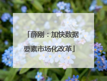 薛刚：加快数据要素市场化改革