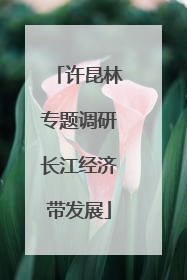许昆林专题调研长江经济带发展