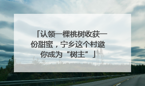 认领一棵桃树收获一份甜蜜，宁乡这个村邀你成为“树主”