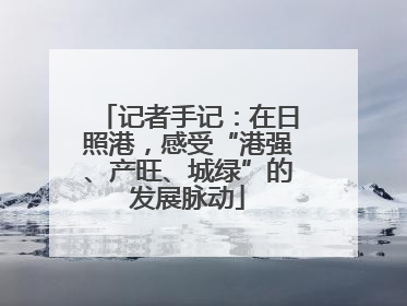 记者手记：在日照港，感受“港强、产旺、城绿”的发展脉动