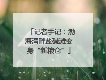 记者手记：渤海湾畔盐碱滩变身“新粮仓”