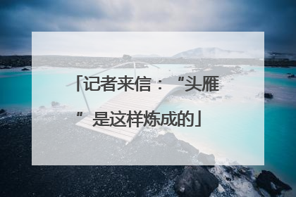 记者来信：“头雁”是这样炼成的