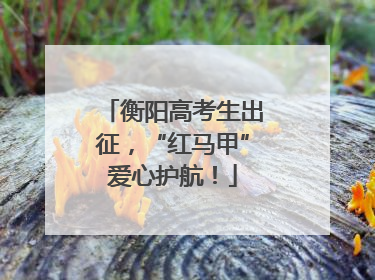 衡阳高考生出征，“红马甲”爱心护航！