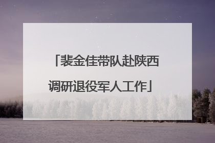裴金佳带队赴陕西调研退役军人工作