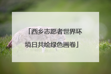西乡志愿者世界环境日共绘绿色画卷