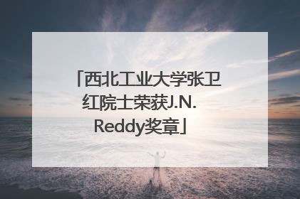 西北工业大学张卫红院士荣获J.N.Reddy奖章