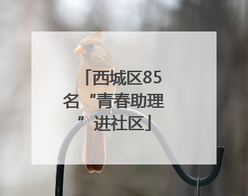 西城区85名“青春助理”进社区