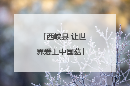 西峡县 让世界爱上中国菇