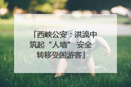 西峡公安：洪流中筑起“人墙” 安全转移受困游客