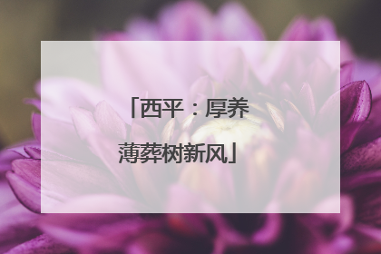 西平：厚养薄葬树新风