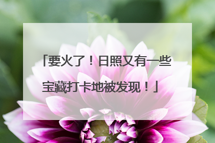 要火了！日照又有一些宝藏打卡地被发现！