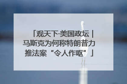 观天下·美国政坛｜马斯克为何称特朗普力推法案“令人作呕”