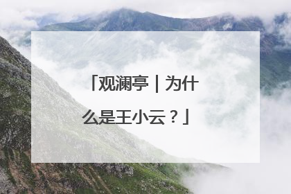 观澜亭｜为什么是王小云？