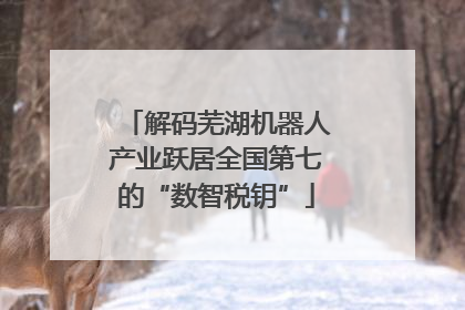 解码芜湖机器人产业跃居全国第七的“数智税钥”