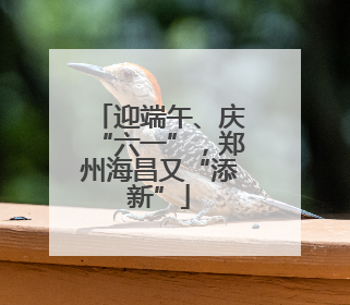 迎端午、庆“六一”，郑州海昌又“添新”