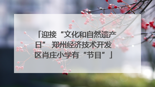 迎接“文化和自然遗产日” 郑州经济技术开发区肖庄小学有“节目”