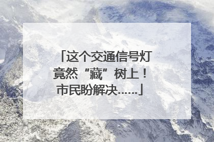 这个交通信号灯竟然“藏”树上！市民盼解决……