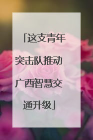 这支青年突击队推动广西智慧交通升级