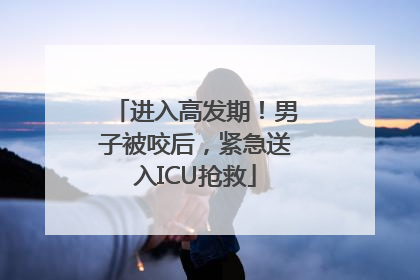 进入高发期！男子被咬后，紧急送入ICU抢救