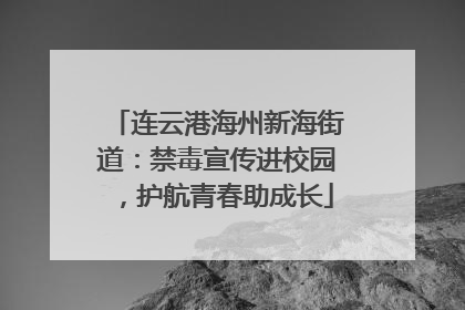 连云港海州新海街道：禁毒宣传进校园，护航青春助成长