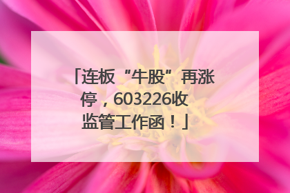连板“牛股”再涨停，603226收监管工作函！